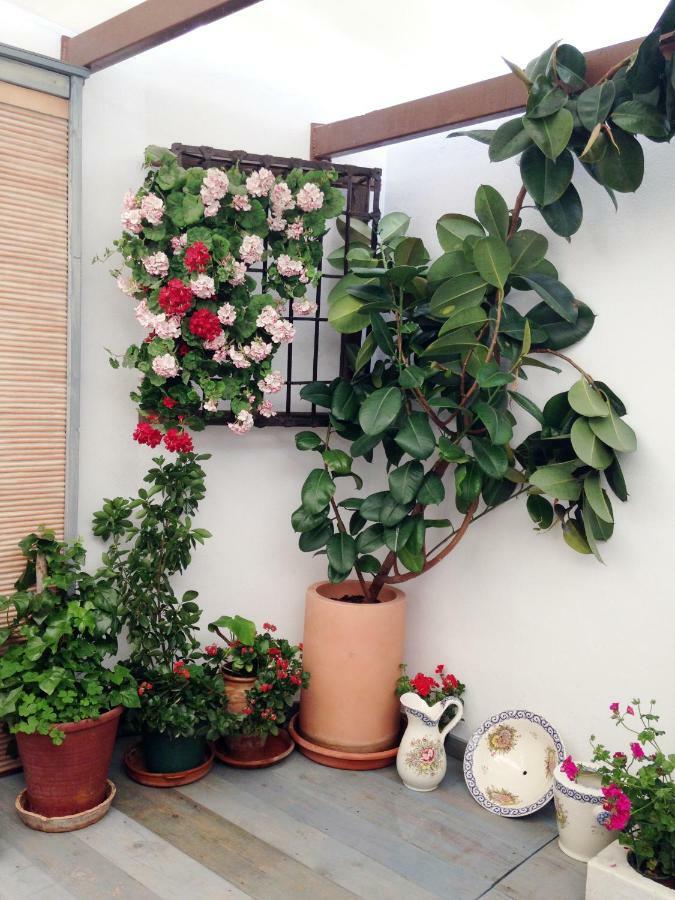 Patio San Lorenzo กอร์โดบา ภายนอก รูปภาพ