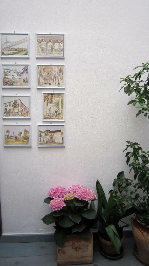 Patio San Lorenzo กอร์โดบา ภายนอก รูปภาพ